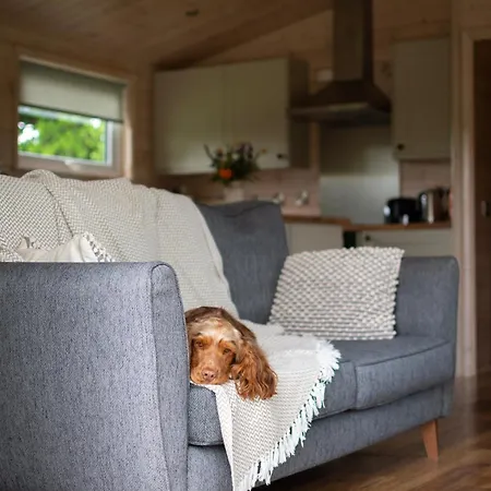 Lapwing Riverdale Dağ evi